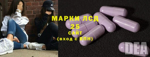 хмурый Верея