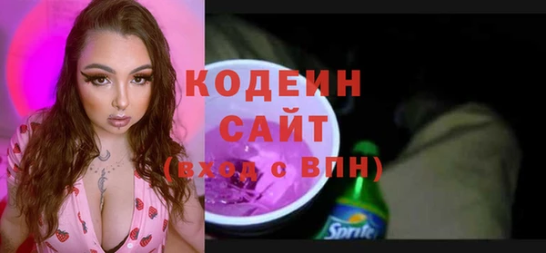 дурь Бородино