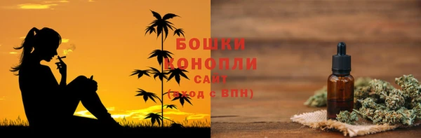 дурь Бородино