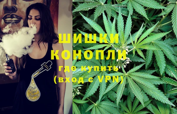 дурь Бородино