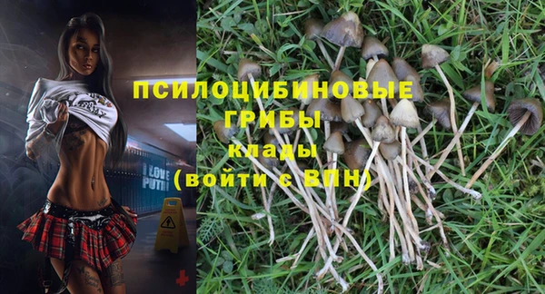 дурь Бородино