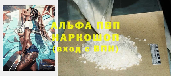 дурь Бородино