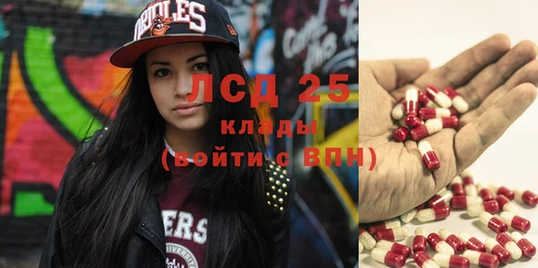 дурь Бородино