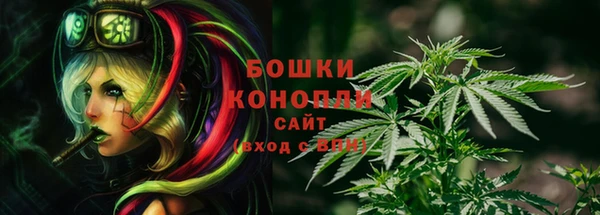 гашик Бронницы